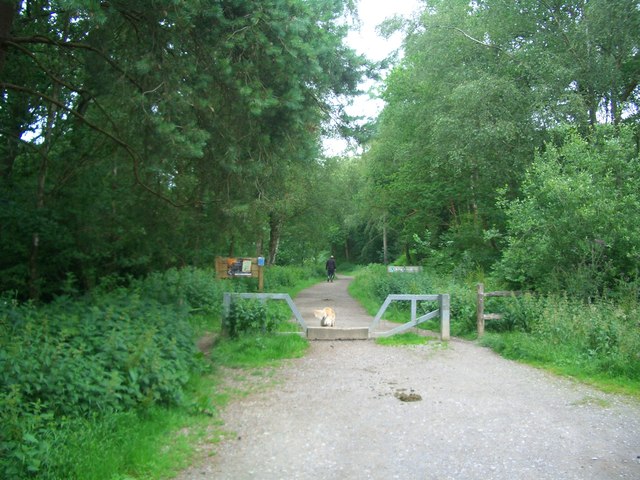 Gravel path winding through a lush green park with trees on both sides and a wooden barrier across the trail.