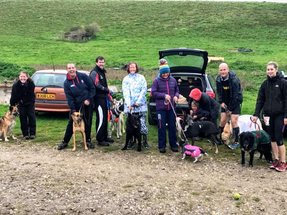 A group of people with several leashed dogs standing in a gravel lot in front of two parked cars, with a grassy hill in the background.