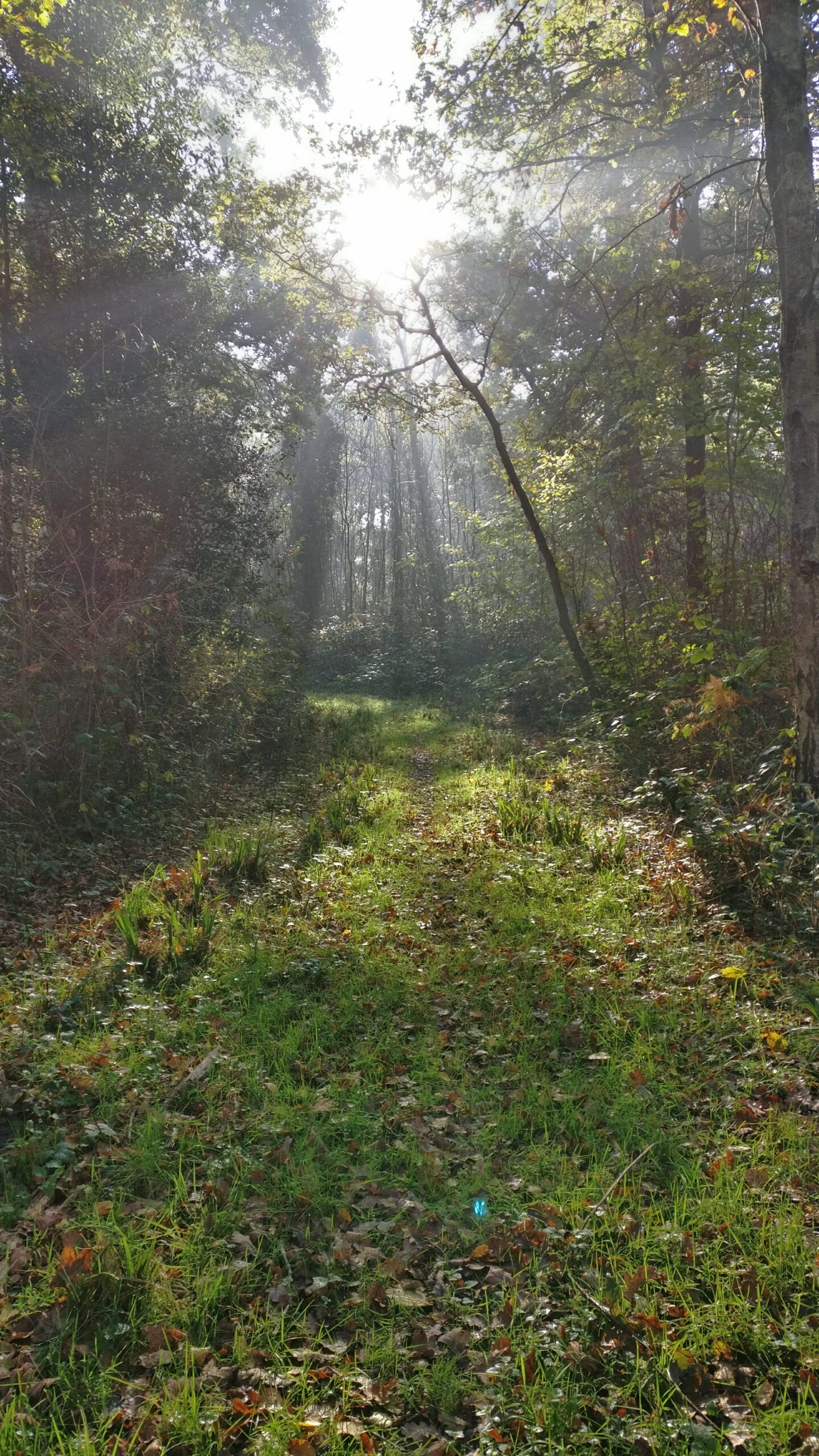 Loxwood – 11km