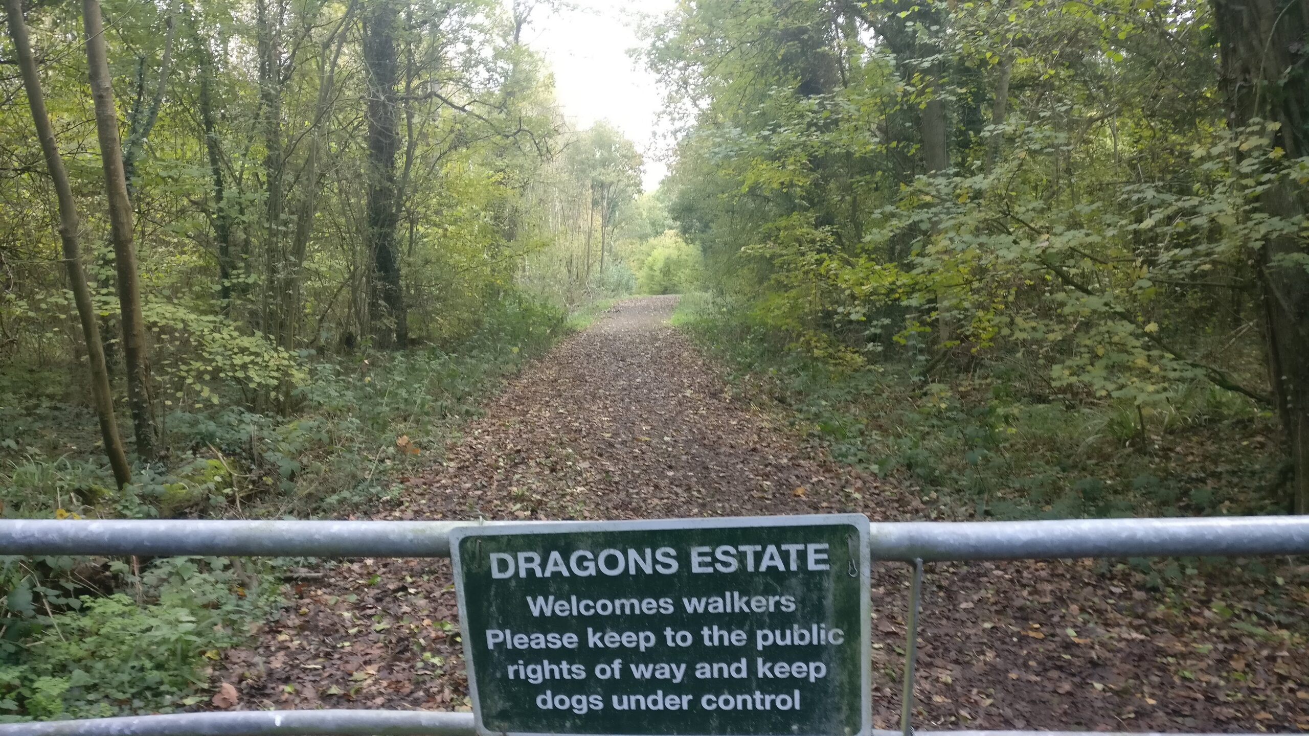 Dragons Green – 7km