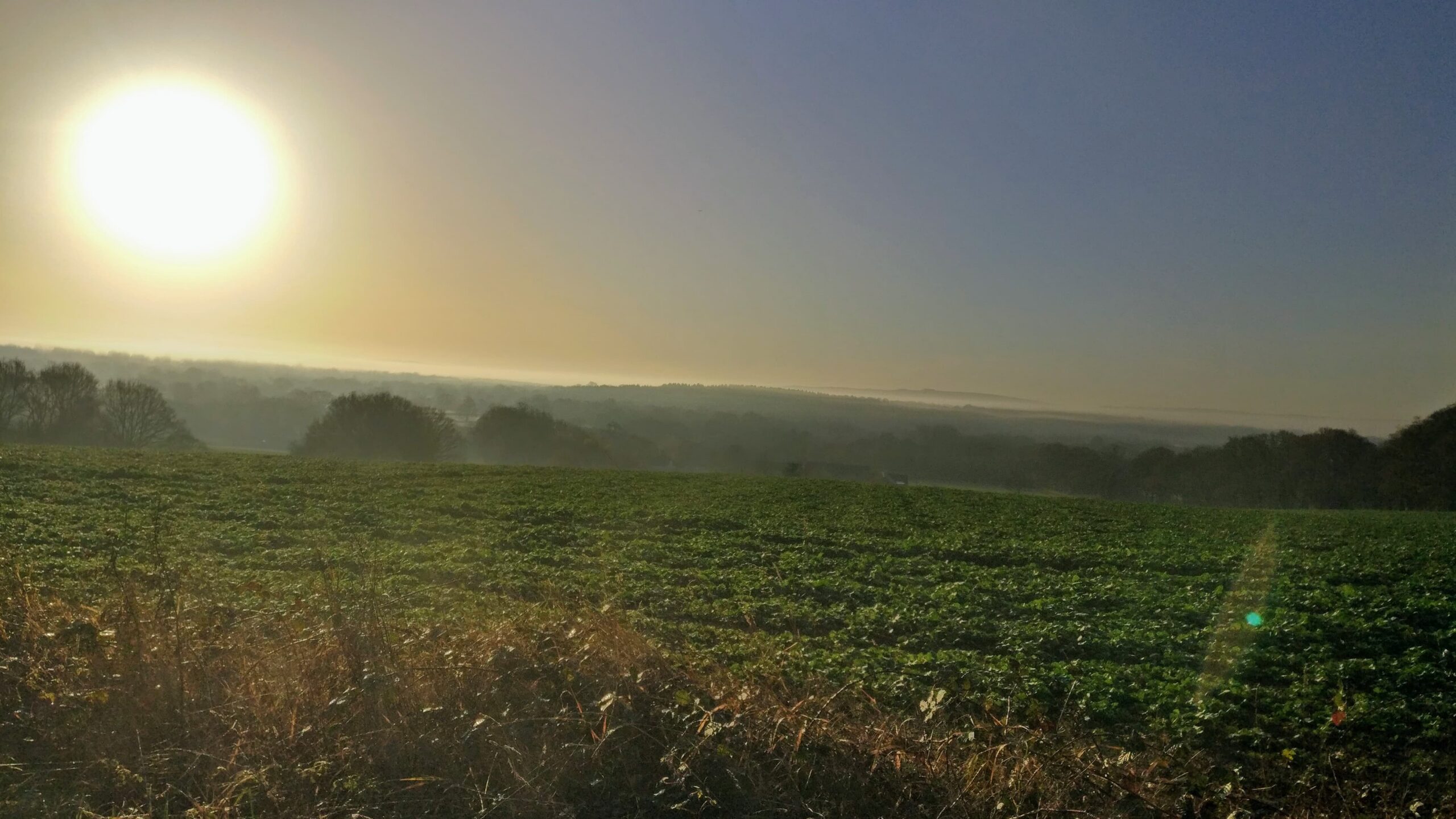 Barns Green – 5.5km
