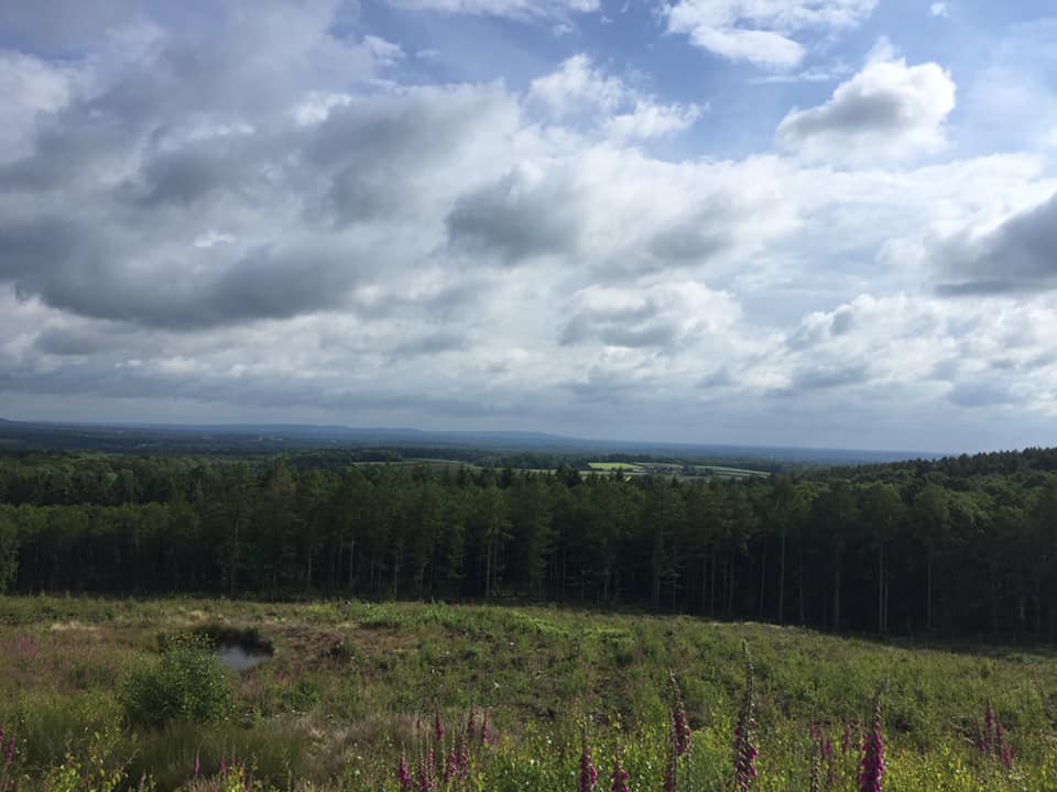The Mens Nature Reserve Loop – 5km