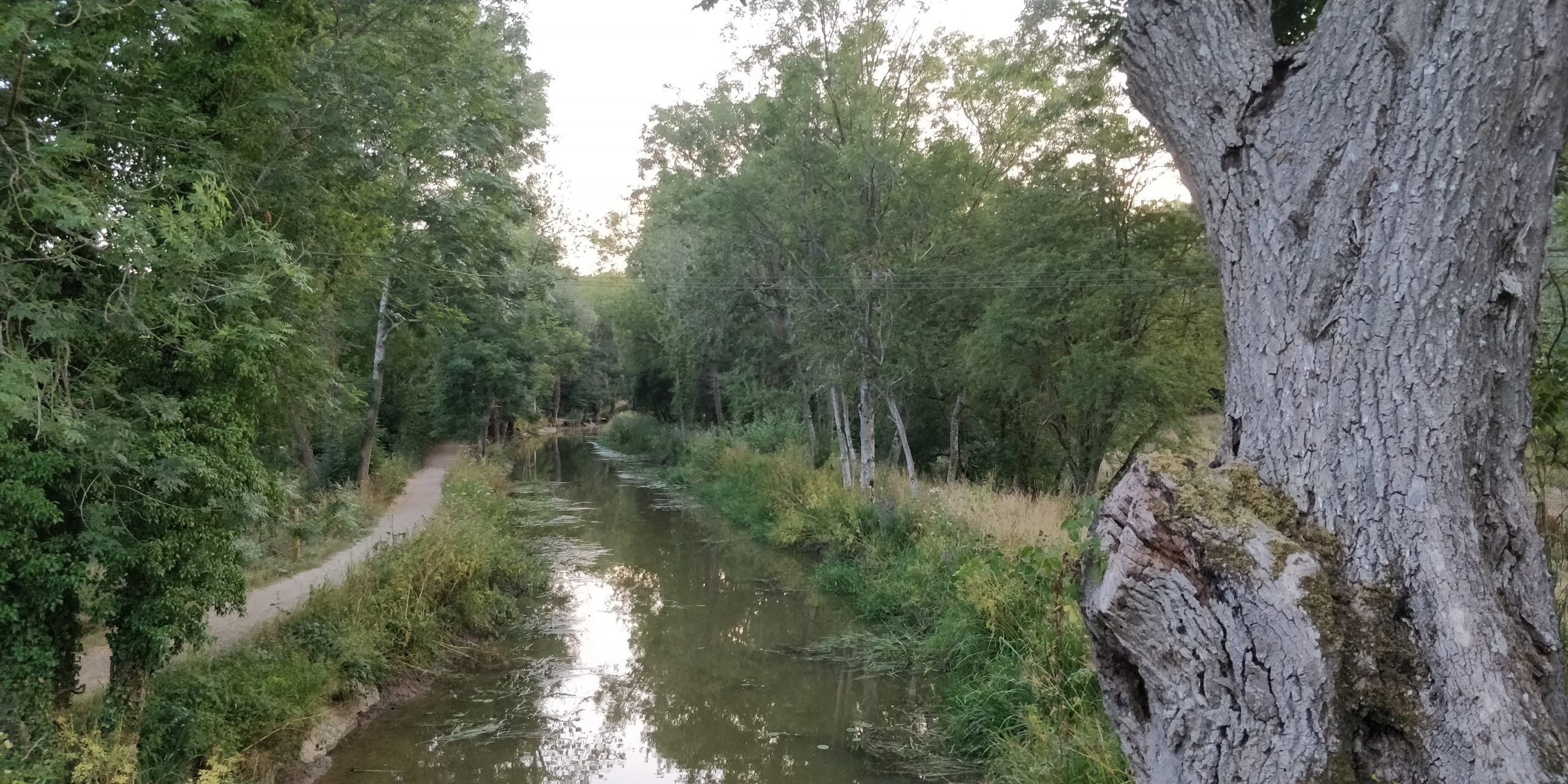 Loxwood – 7Km