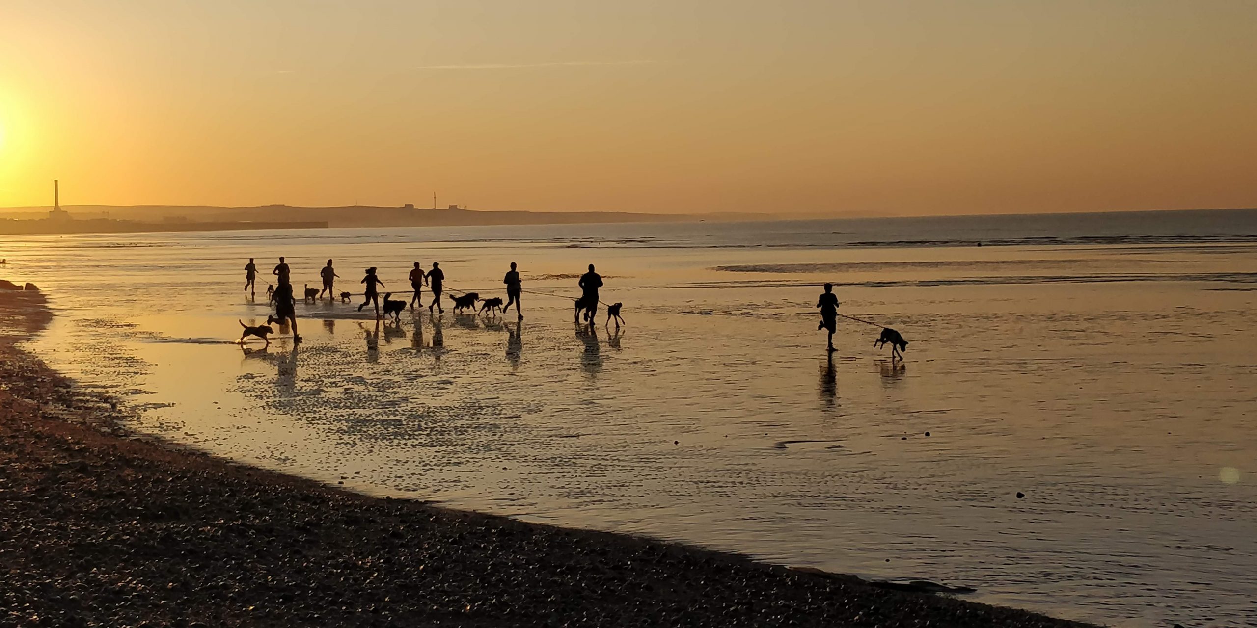 Canicross Routes 2019 – Year in Review