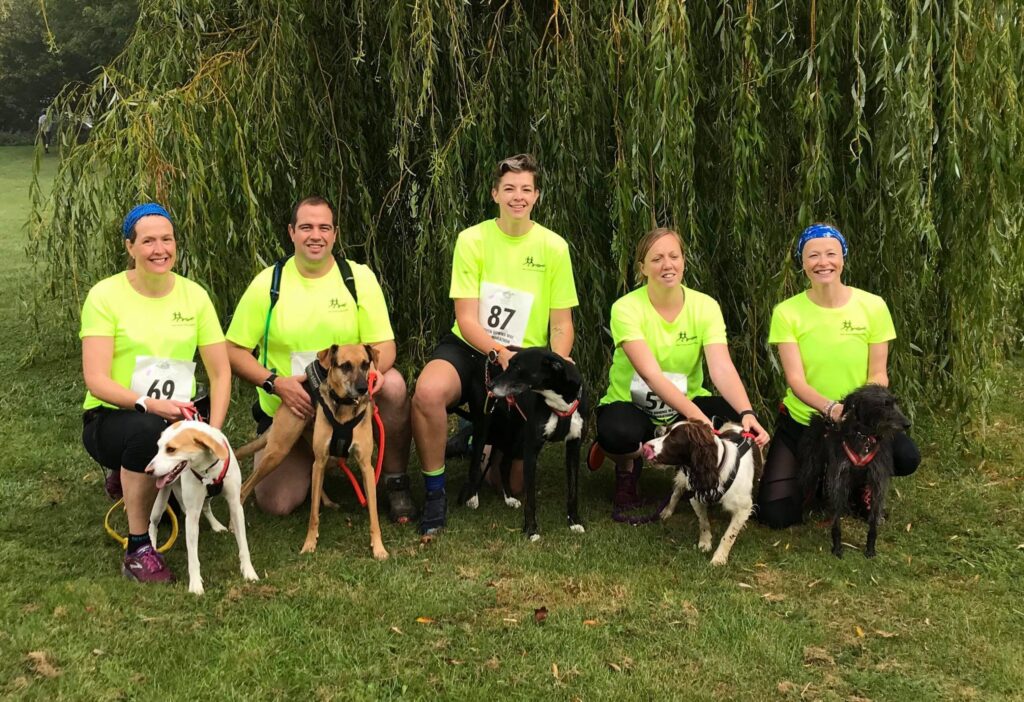 Five people in bright yellow shirts sit on the grass with their dogs in a park, with a weeping willow tree behind them.