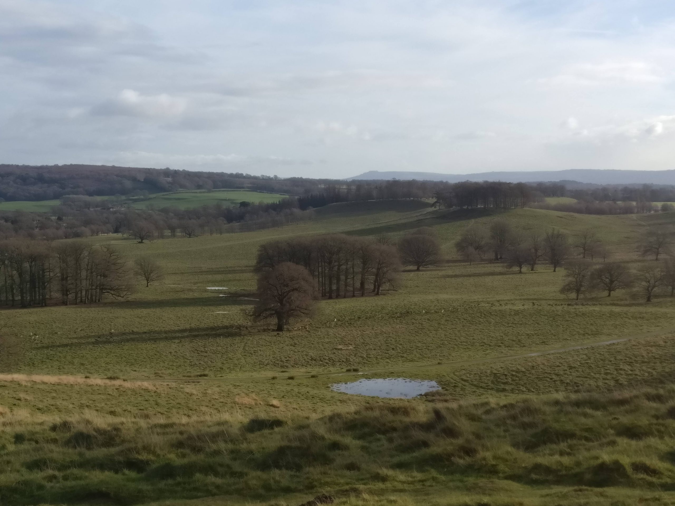Petworth Park – 7km