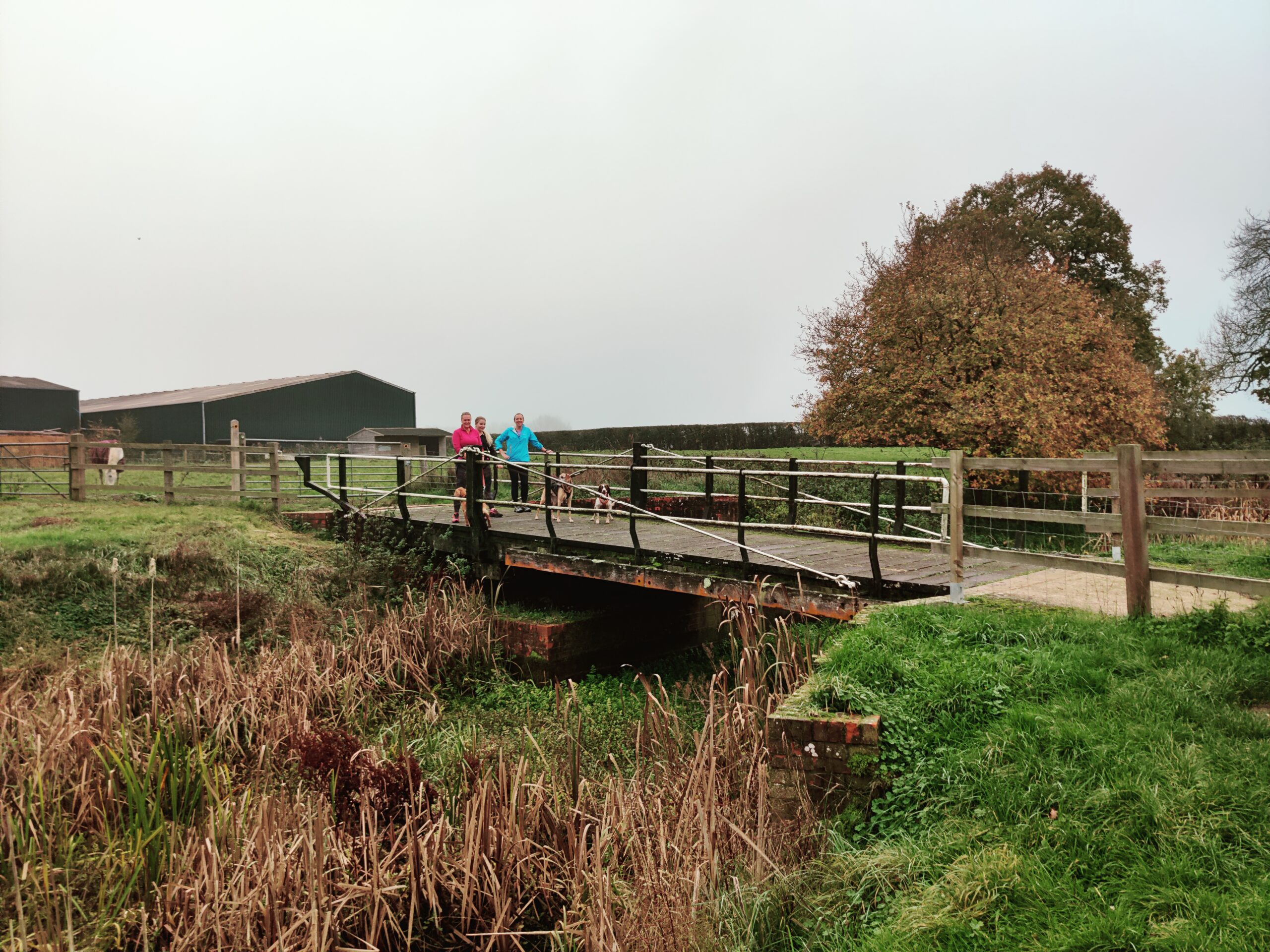 Two people wearing bright jackets walk across a small wooden footbridge in a rural park, with a grassy field, reeds, a fence, and autumn trees under an overcast sky.