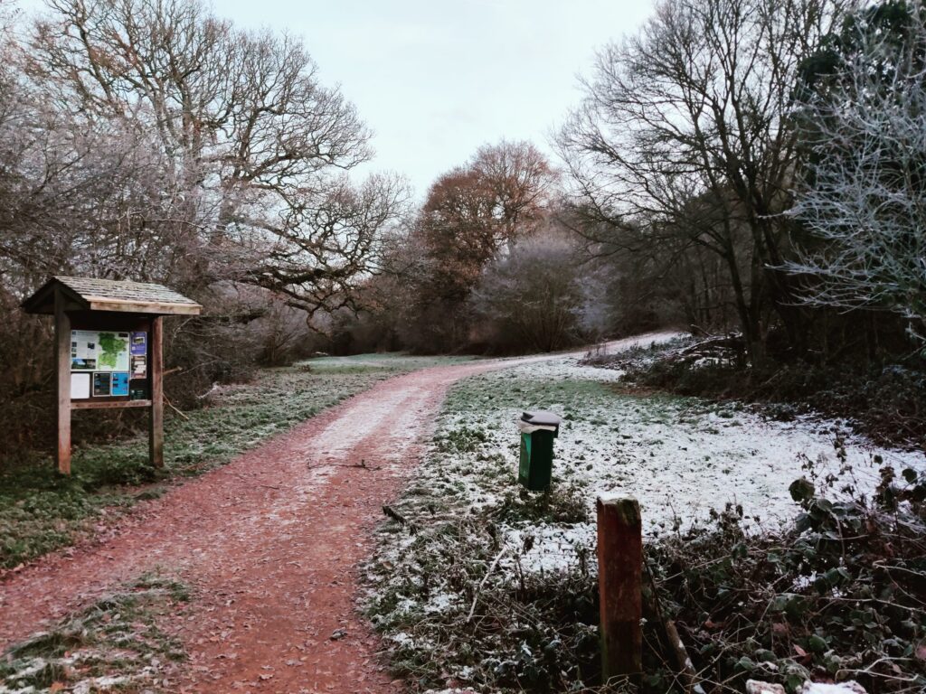 A dirt path winds through a snowy park with bare trees, an information board on the left, and a green trash bin nearby.