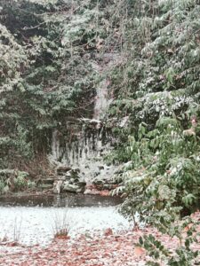 Snowy evergreen forest with a small waterfall cascading down rocks and leaves scattered on the ground.