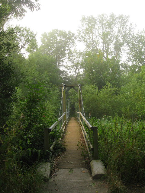A narrow wooden footbridge with railings stretches through dense green vegetation toward a wooded area.